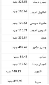 النشرة الاقتصادية الأولي ليوم الأربعاء 2025/3/19
