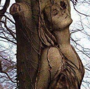 احذر ان تستيقظ الانثى همسات أنثى /بقلم نهاد السيد