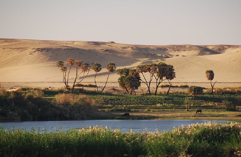 أصل المزارعين الأوائل في حوض النيل دراسة تأتي بالدليل