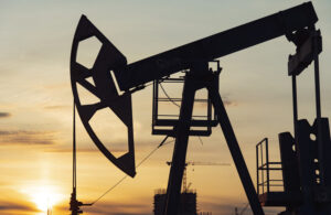 سعر الأسمنت والحديد والنفط والدواجن اليوم الأربعاء 20 - 5 -2026
