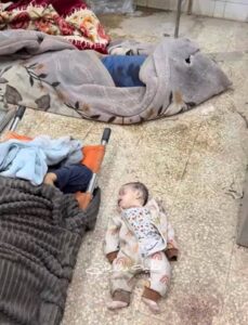 كل ما يجري في غزة ظلم وجرائم حرب .. فهل من موقف؟ 