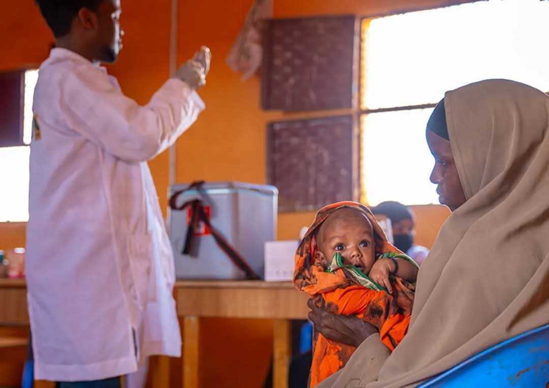 لقاحات جديدة في الصومال بفضل التحالف العالمي للقاحات والتحصين