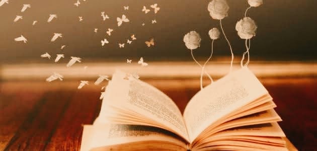 الوعي والفلسفة والإيمان"الجزء الثاني والأخير" بقلم خالد عبد الصمد