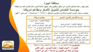 فرص عمل من خلال جهاز رعاية وتشغيل الشباب بمحافظة الجيزة