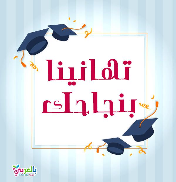 نتيجة الإعدادية 2025 تكتمل تدريجيًا. محافظات جديدة تنضم ورابط موحد للاستعلام