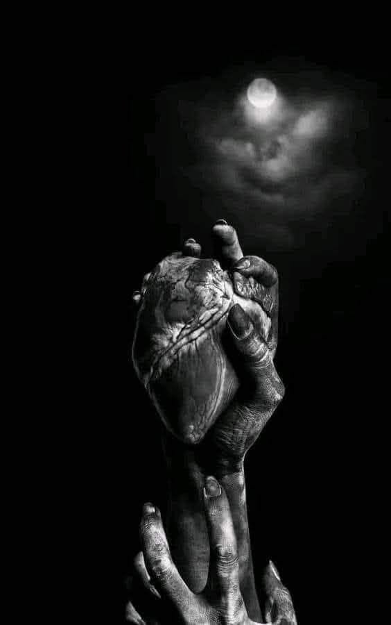 الحرية بقلم سليمة مالكي نور القمر