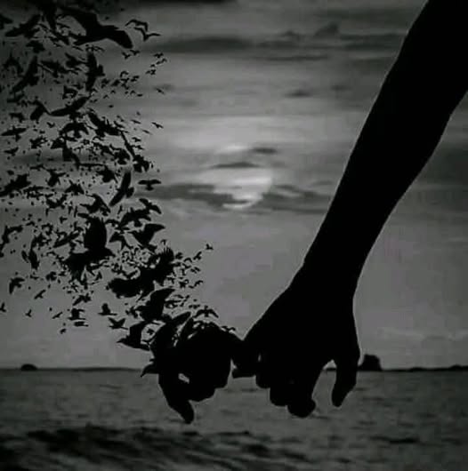 شريك رحلة الحياة كتبت /سما فتح الله