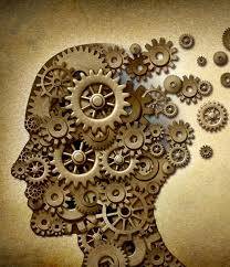 الفلسفه ضروره حياتيه علياء جاد