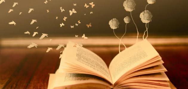 الوعي والعقل والقلب والجوع.. بقلم الباحث: خالد عبد الصمد 