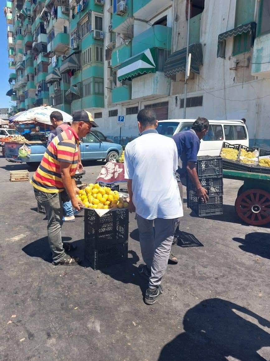 محافظة بورسعيد استمرار الحملات المكثفة لإزالة الإشغالات وتحسين منظومة النظافة بحي الضواحي