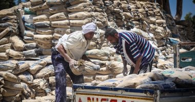 سعر الأسمنت اليوم الثلاثاء 26- 8-2025.. اعرف سعر الطن