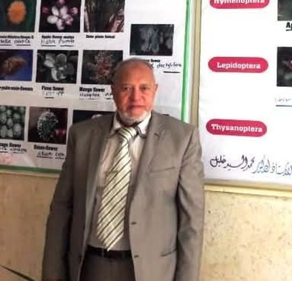 انفراد الكنانه نيوز حوار / شاميه كساب حوار صحفى مع البروفسير الدكتور محمد السيد خليل