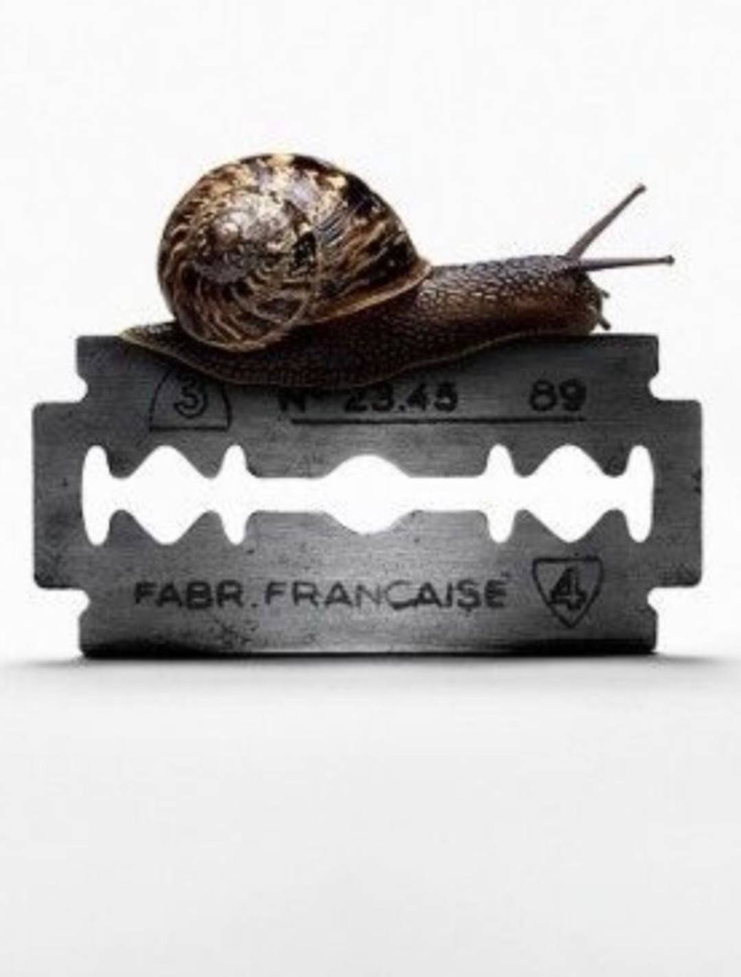 خطوات بين الخطر والإيمان بقلم نور شاكر