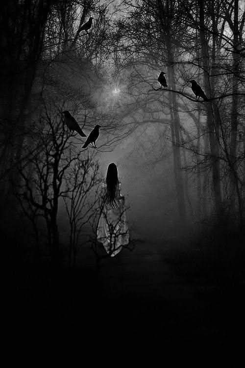 قصة قصيرة     الهروب من الحلم 