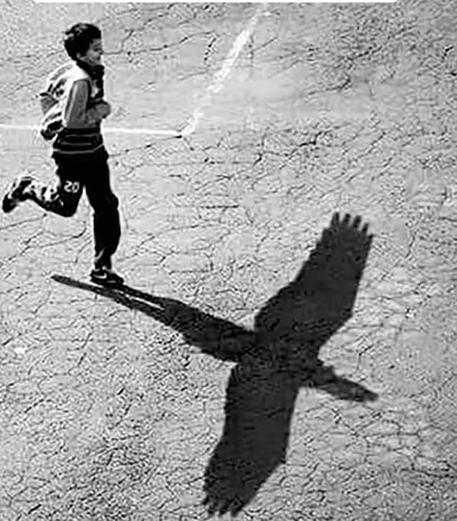 استمرلا نهاية للحلم