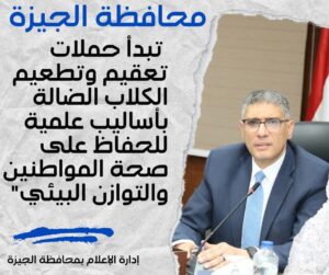 محافظة الجيزة وقعت بروتوكول تعاون مع جامعة القاهرة لتعقيم الكلاب الضالة بأساليب علمية