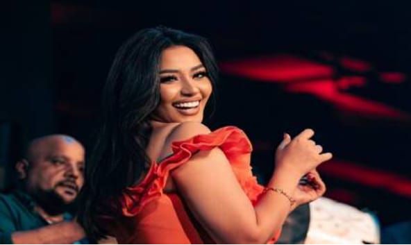 حوادث الأمن يضبط طليق رحمة محسن للتحقيق في نشر فيديوهات خادشة