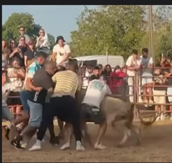 روبن دياز تحت نيران غضب الجماهير بسبب مقطع فيديو صادم