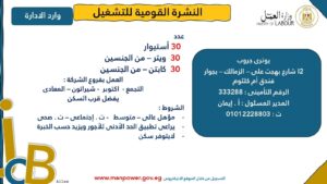 4202 فرصة عمل جديدة في 53 شركة بـ 14 محافظة