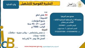 4202 فرصة عمل جديدة في 53 شركة بـ 14 محافظة