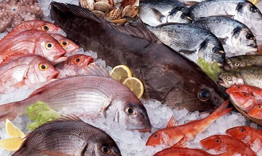 سعر السمك في الأسواق اليوم الجمعة 05-12-2025