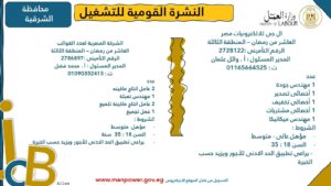 4202 فرصة عمل جديدة في 53 شركة بـ 14 محافظة