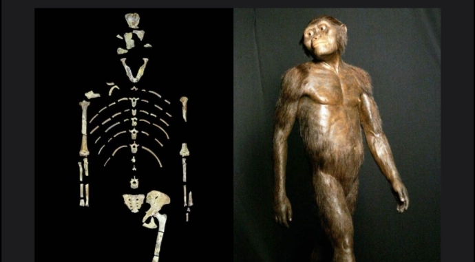 لوسي لم تعد جدتنا