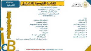 4202 فرصة عمل جديدة في 53 شركة بـ 14 محافظة