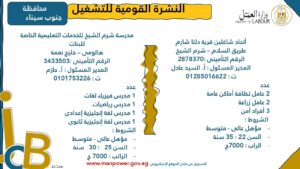 4202 فرصة عمل جديدة في 53 شركة بـ 14 محافظة
