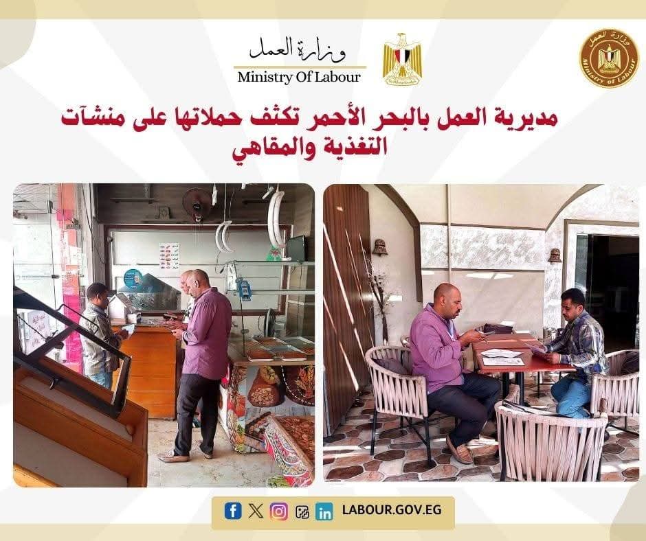 نشاط 10 مديريات عمل بالمحافظات