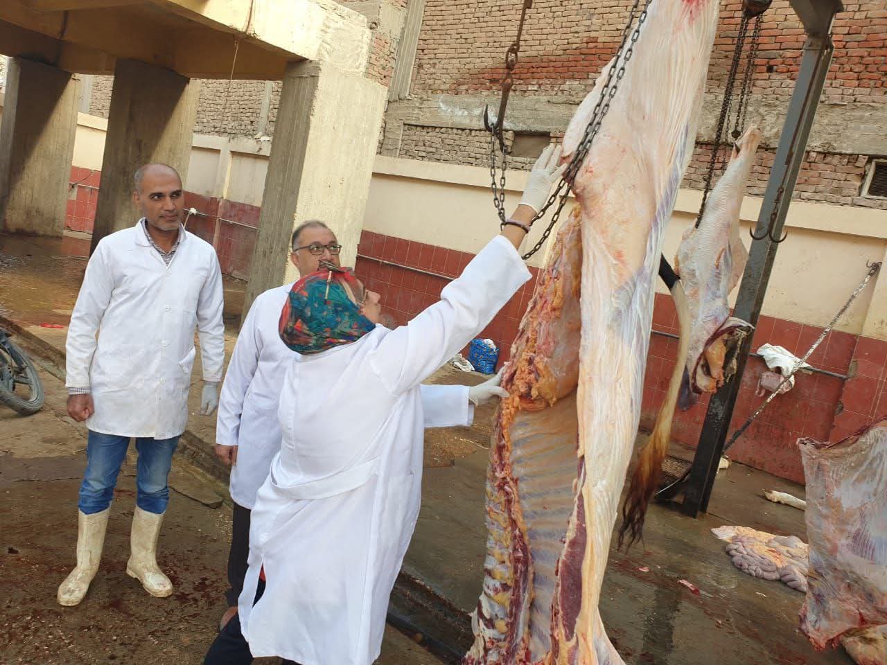 بيطري الشرقية يكثف حملاته التفتيشية على المجازر الحكومية بنطاق المحافظة   التفتيش علي  ١٢ ألف و ٧٥٠  رأس ماشية في ١٧ مجزر حكومي