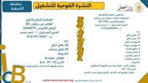 4202 فرصة عمل جديدة في 53 شركة بـ 14 محافظة