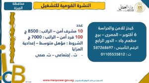 4202 فرصة عمل جديدة في 53 شركة بـ 14 محافظة