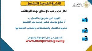 4202 فرصة عمل جديدة في 53 شركة بـ 14 محافظة