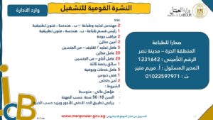 4202 فرصة عمل جديدة في 53 شركة بـ 14 محافظة