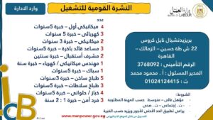 4202 فرصة عمل جديدة في 53 شركة بـ 14 محافظة