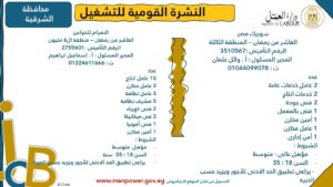 4202 فرصة عمل جديدة في 53 شركة بـ 14 محافظة