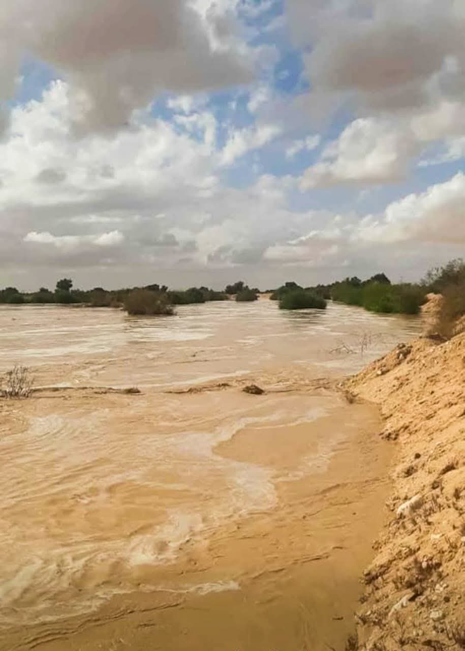 الدكتور سويلم يتابع موقف التعامل مع الأمطار التي تساقطت على محافظتى البحر الأحمر وشمال سيناء مؤخرًا، ونجاح منشآت الحماية في التعامل معها