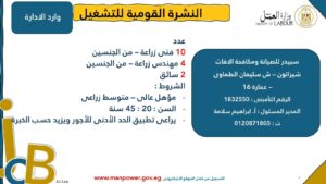 4202 فرصة عمل جديدة في 53 شركة بـ 14 محافظة