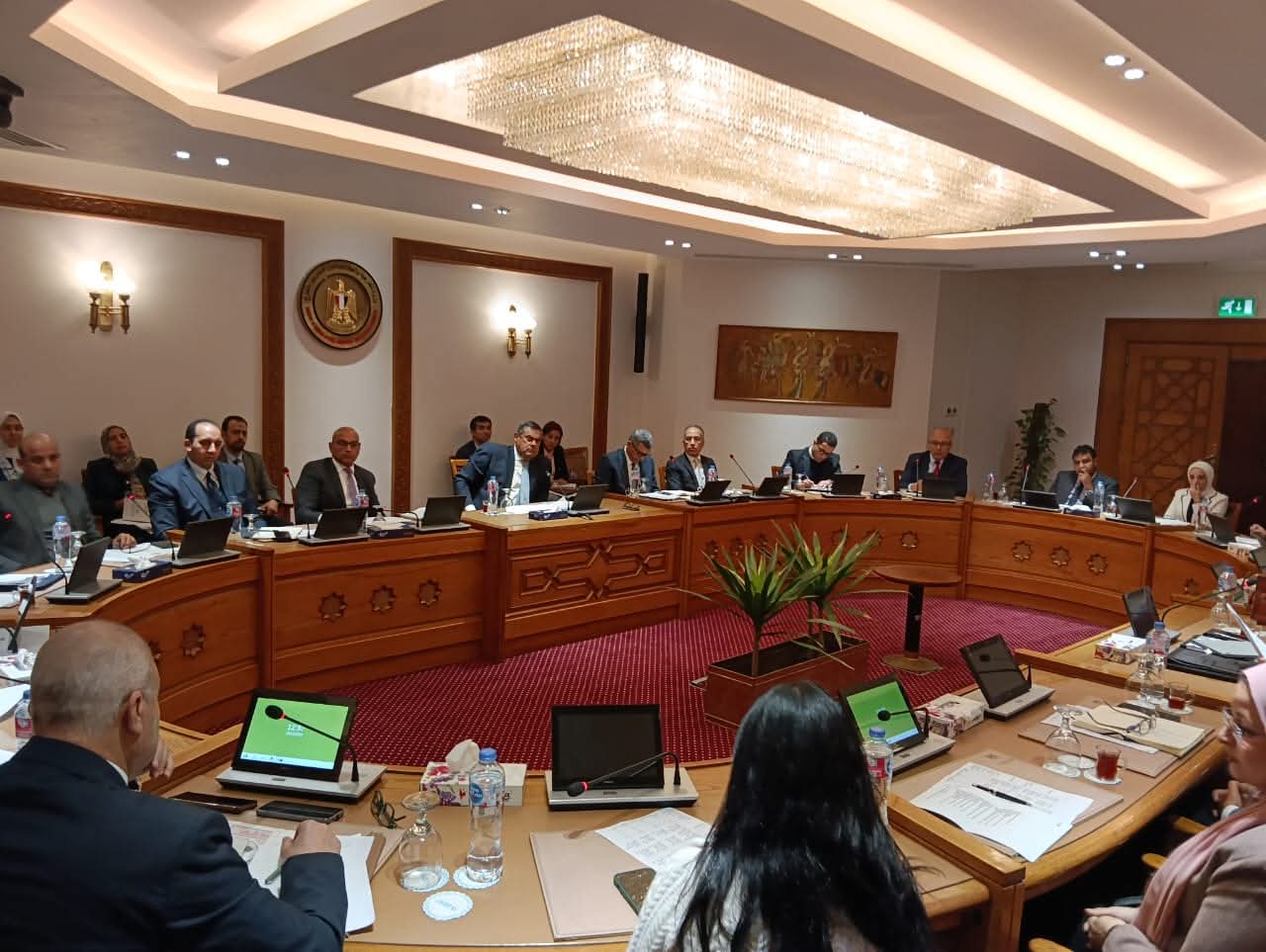 انعقاد اللجنة الدائمة لمتابعة العلاقات المصرية  الإفريقية