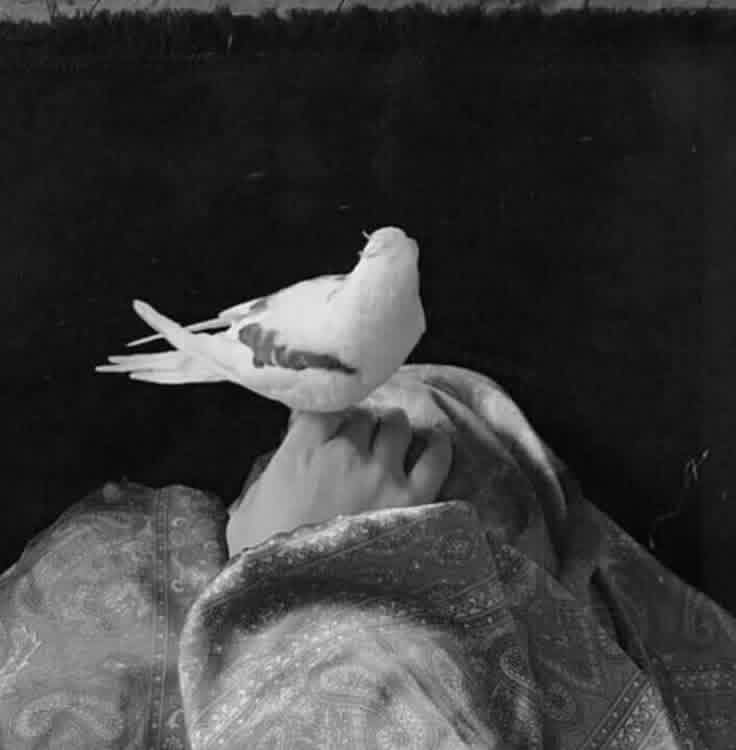 مبادئ اؤمن بها