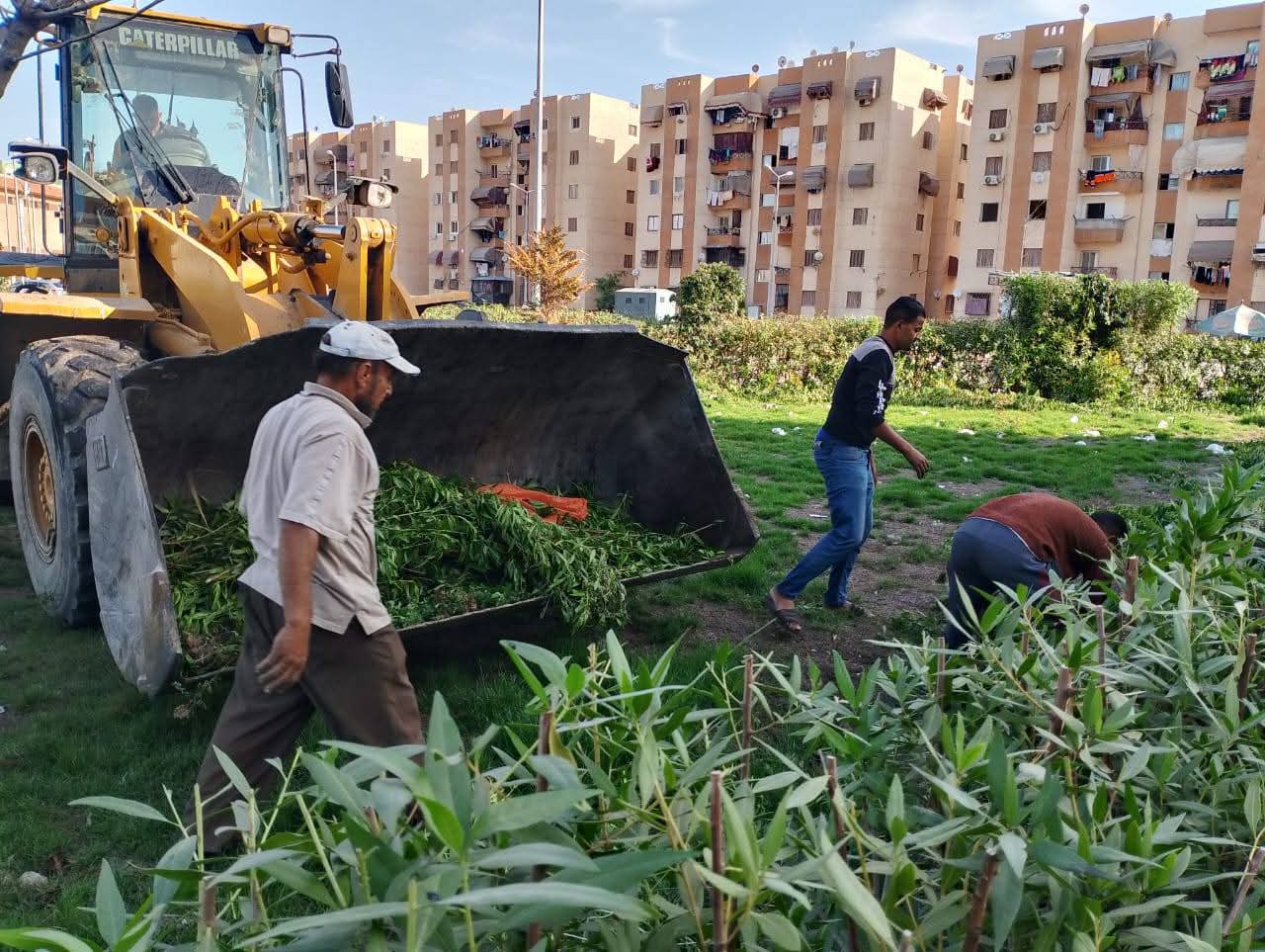 الأجهزة التنفيذية ببورسعيد تواصل جهودها لرفع كفاءة منظومة  النظافة العامة  وعودة المظهر الحضاري لشوارع المحافظة 