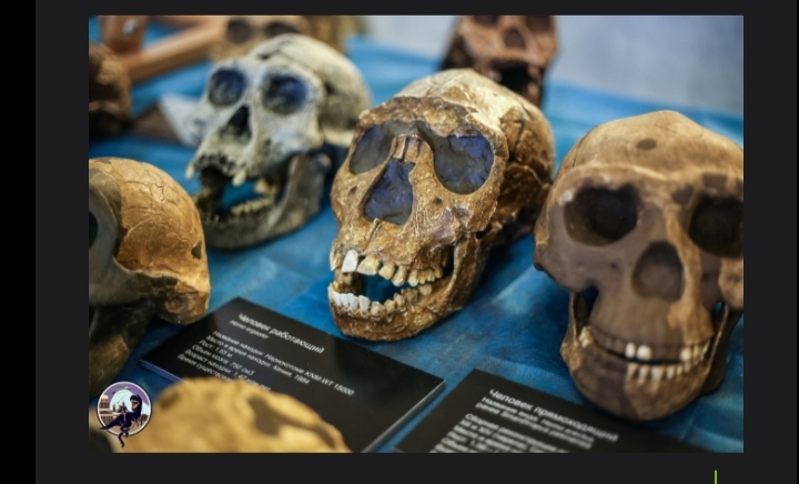 اكتشافات أثرية تعيد النظر في أول هجرة بشرية خارج إفريقيا