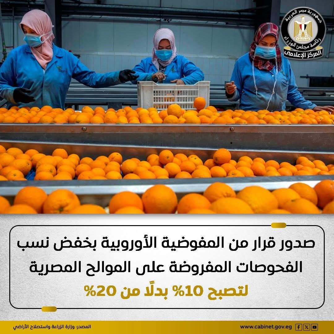 صدور قرار من المفوضية الأوروبية بخفض نسب الفحوصات المفروضة على الموالح المصرية لتصبح 10 بدلا من 20 %