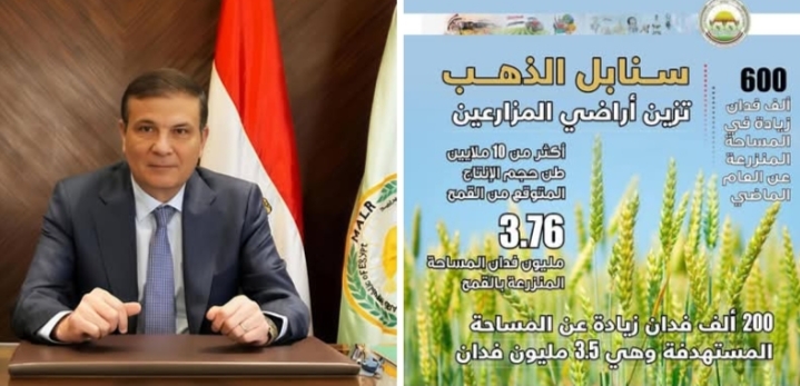 وزارة الزراعة تعلن تجاوز المستهدف من المساحات المنزرعة بالقمح خلال الموسم الحالي