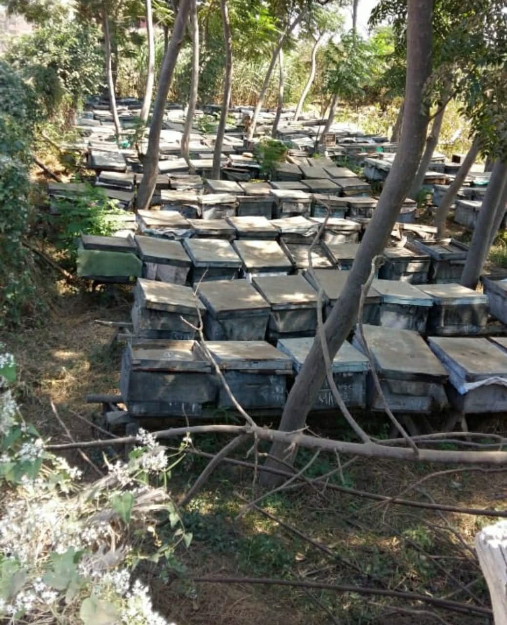 محافظ المنوفية  تنفيذ 336 مشروعاً اقتصادياً بتمويل من صندوق التنمية المحلية ومشروع إقراض الأسر خلال عام 2025