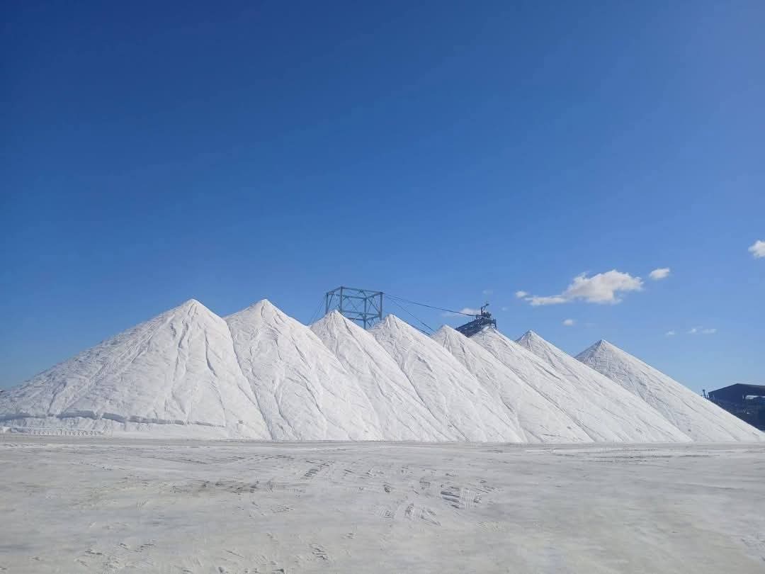 وزارة قطاع الأعمال العام النصر للملاحات تصدر أكبر شحنة ملح في تاريخها من ميناء العريش