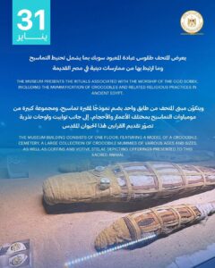 اليوم 31 يناير نُحيّي ذكرى مرور 14 عامًا على افتتاح متحف التمساح بكوم أمبو – أسوان