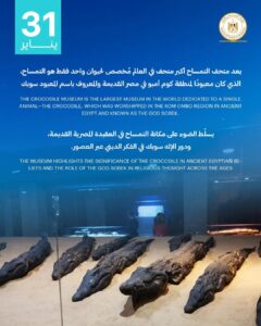 اليوم 31 يناير نُحيّي ذكرى مرور 14 عامًا على افتتاح متحف التمساح بكوم أمبو – أسوان