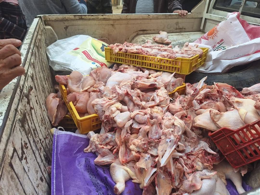 محافظ المنوفية : ضبط 37 شيكارة دقيق مدعم قبل بيعها بالسوق السوداء بالشهداء و 120 كجم دواجن محقونة غير صالحة للاستهلاك الآدمي ببركة السبع